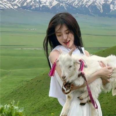 天天向上2017