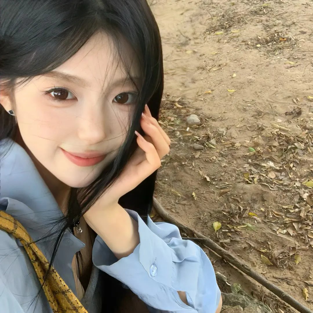 不疯不狂不爱你